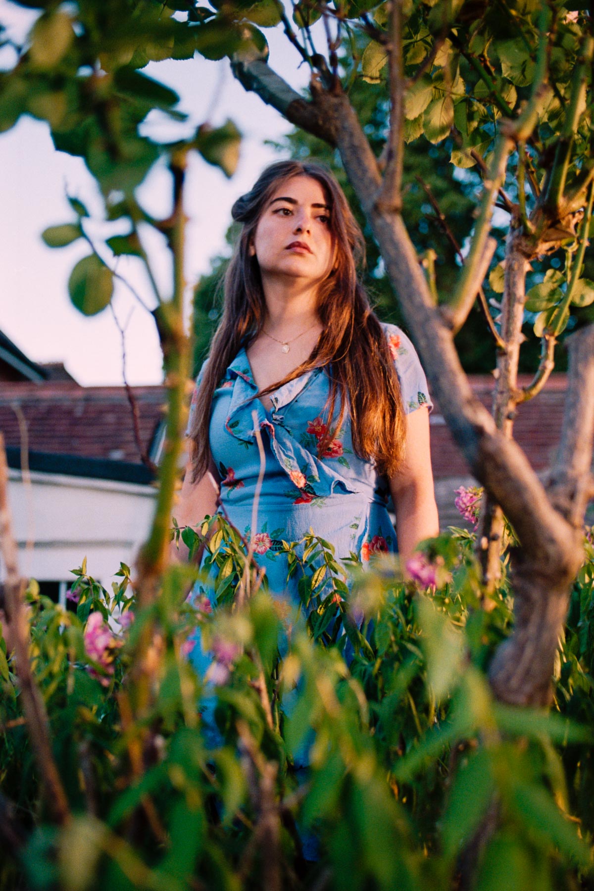 merve
