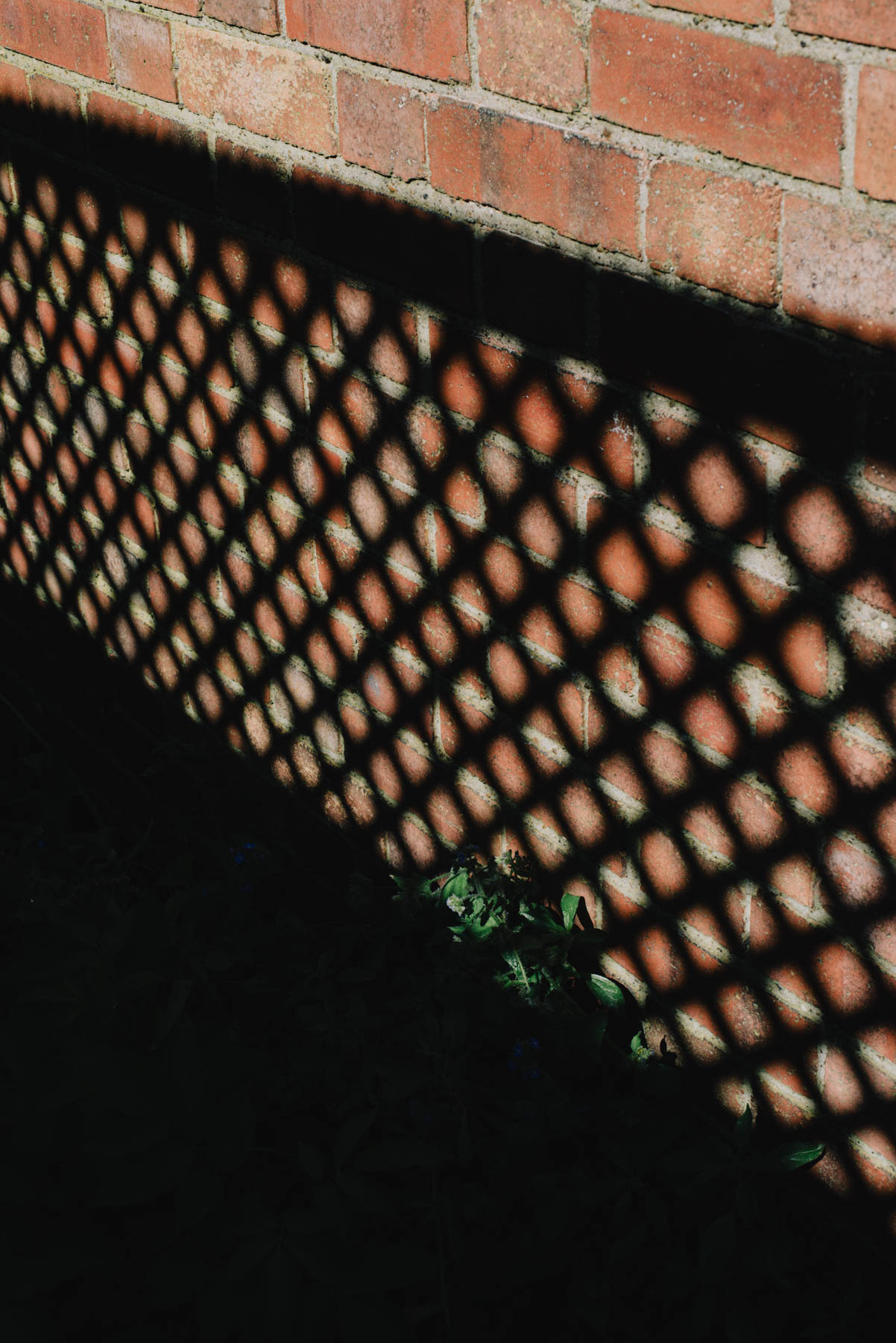pattern-fence